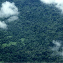 Det tar en drøy time å fly fra Boa Vista til yanomami-landsbyen Demini. Regnskogen i det nordlige Brasil strekker seg under flyet  (Foto: Rainforest Foundation Norway / ISA Brazil)